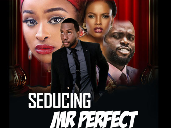 Seducing Mr Perfect – Nollywood 